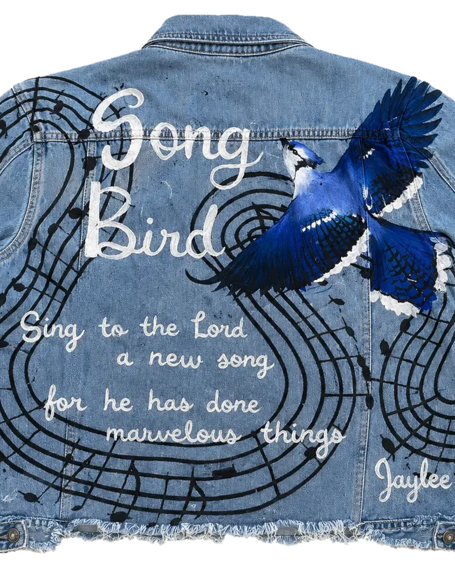 Song Bird — hand-painted jacket